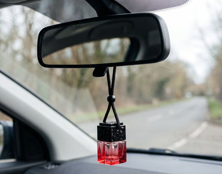 FRESURE diffuser hanging from a rear-view mirror